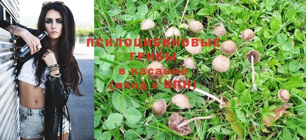эйфоретик Арсеньев