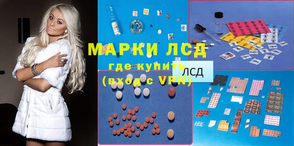СК Аркадак